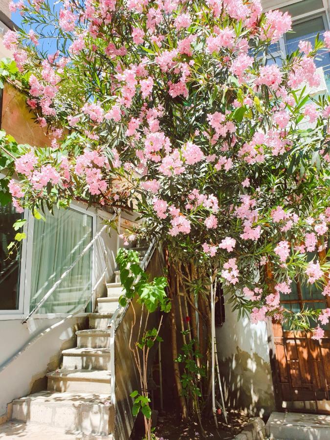 Albergue Bon Voyage Tiflis Exterior foto